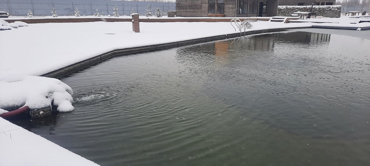 Снять коттедж дом №1 - Пруд №1, возле дома Снять коттедж дом №1 - Пруд №1, возле дома