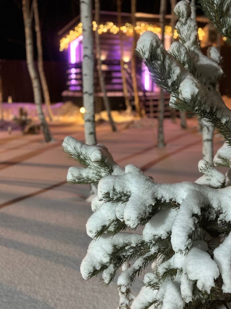 Снять глэмпинг дом AURA №2 - ракурс 6 Снять глэмпинг дом AURA №2 - ракурс 6