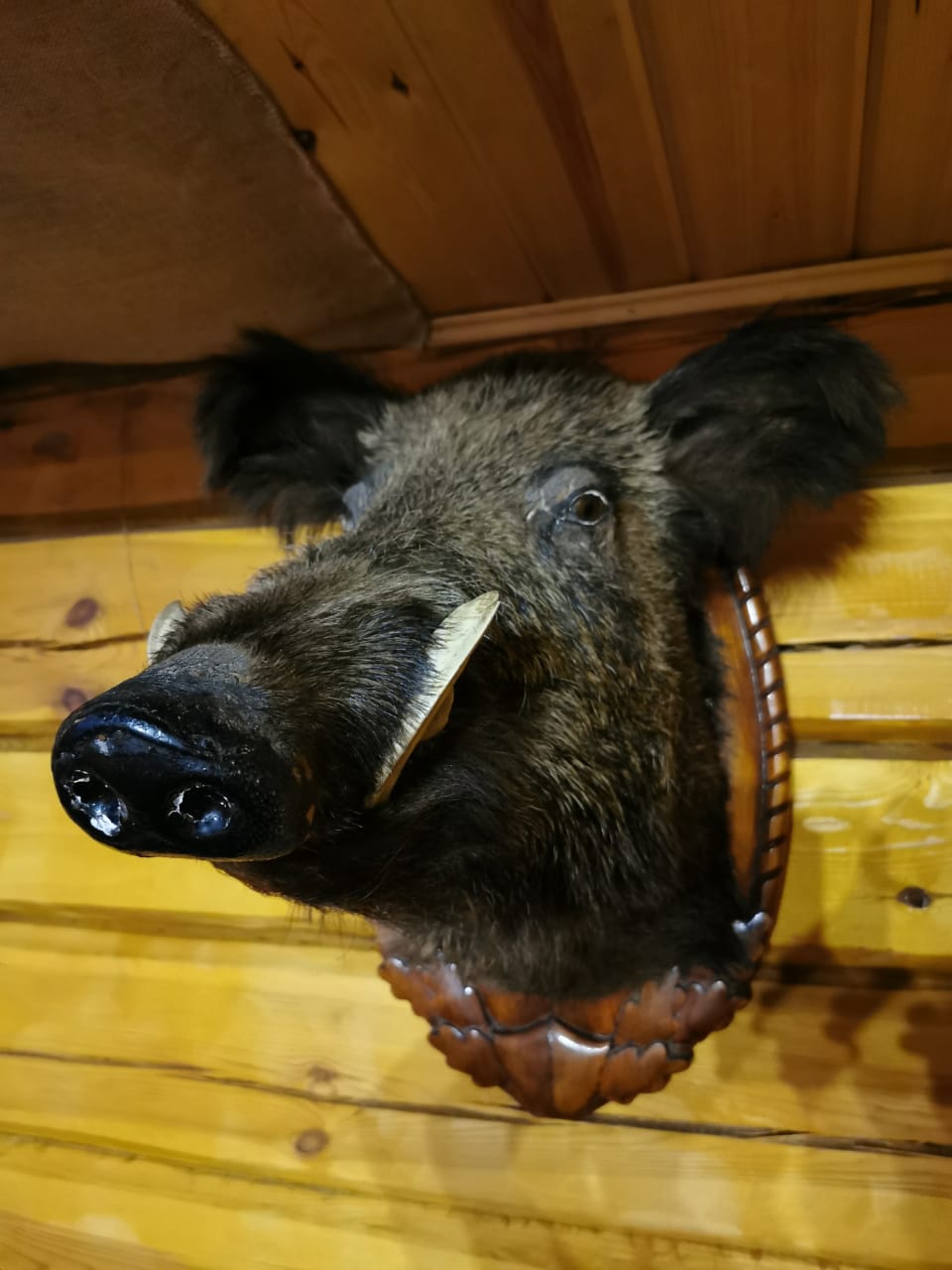 Снять мангальную зону до 40 человек, «Норвегия» Снять мангальную зону до 40 человек, «Норвегия»